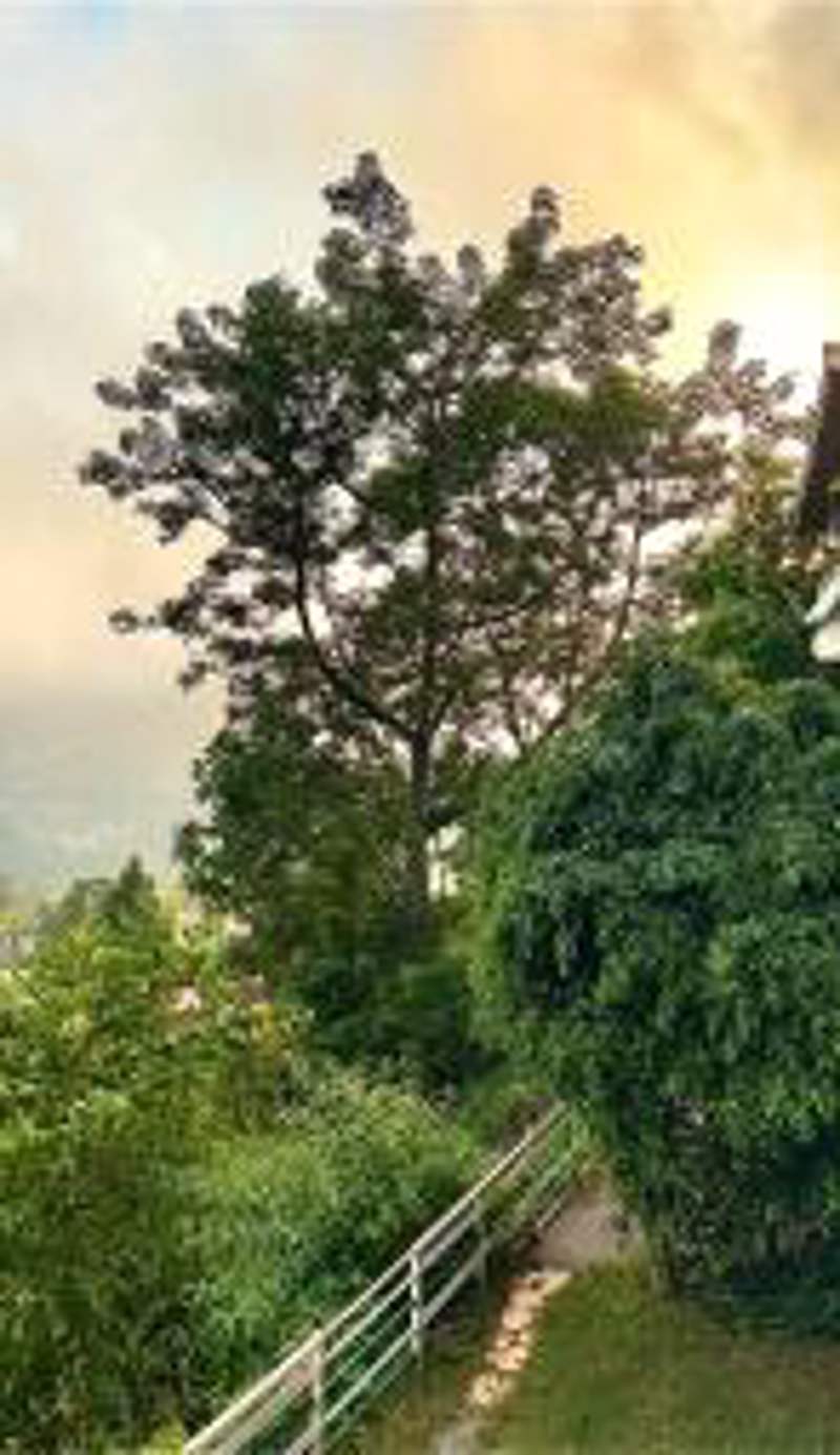 Magpie Retreat