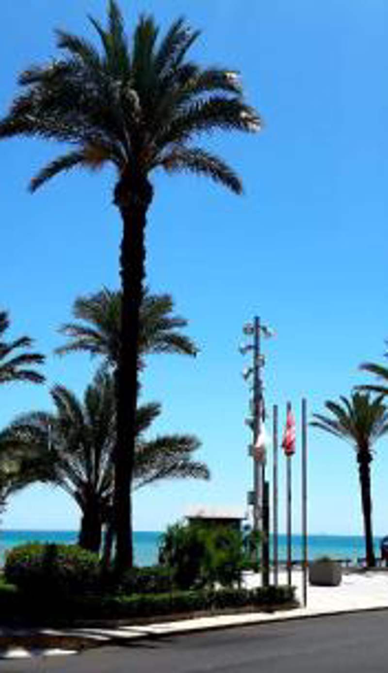 Estudio Playa del Cura