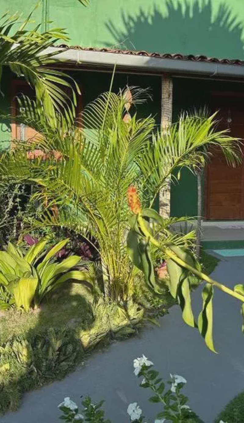 Chales Canto dos Pássaros Boipeba