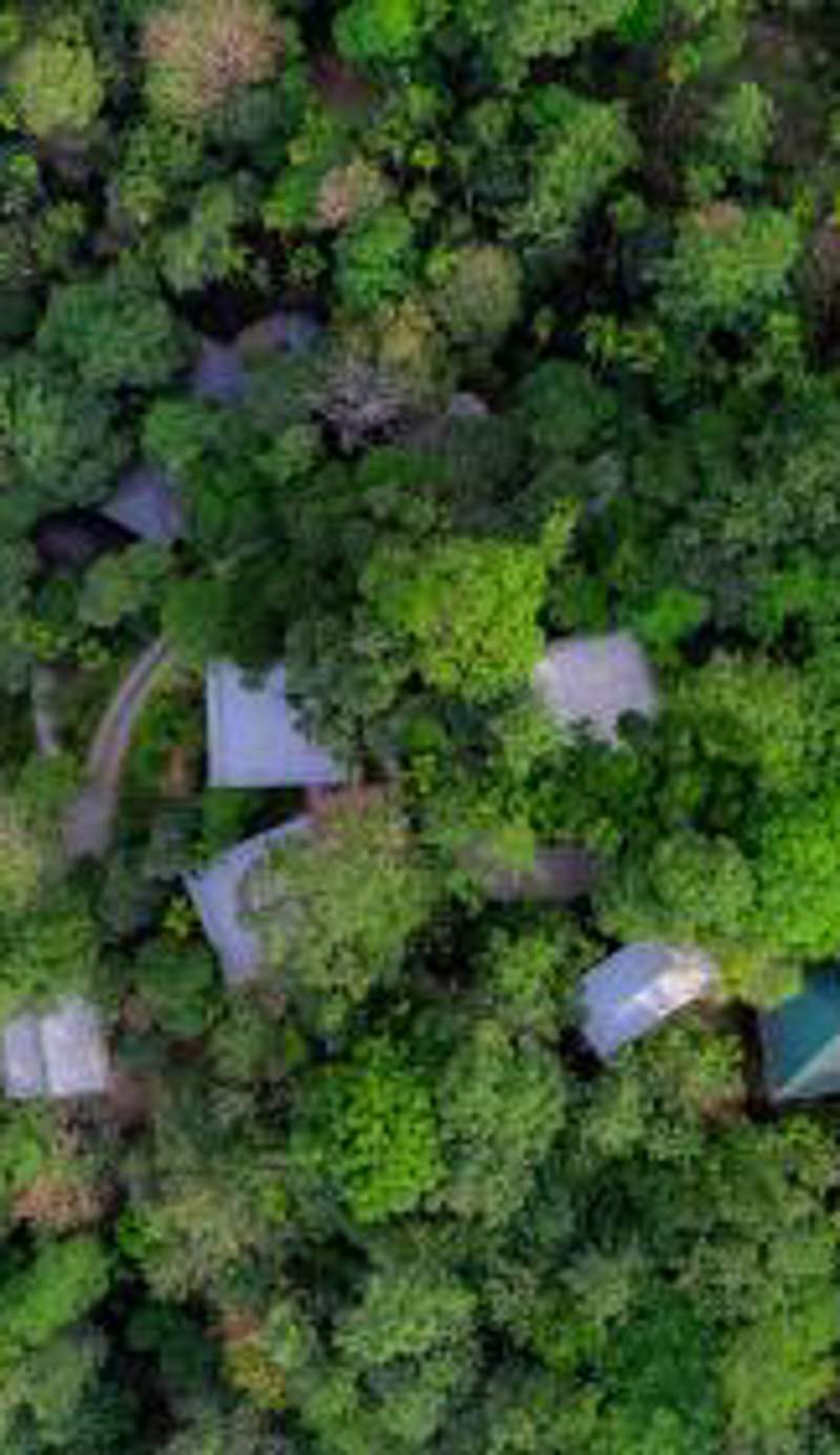 The Hive Wayanad