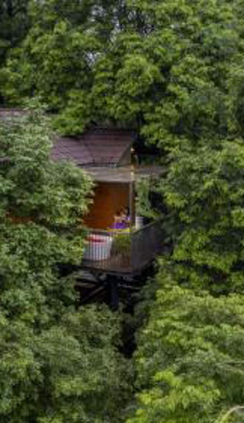 Crystal Kuruva Nature Resort & Spa