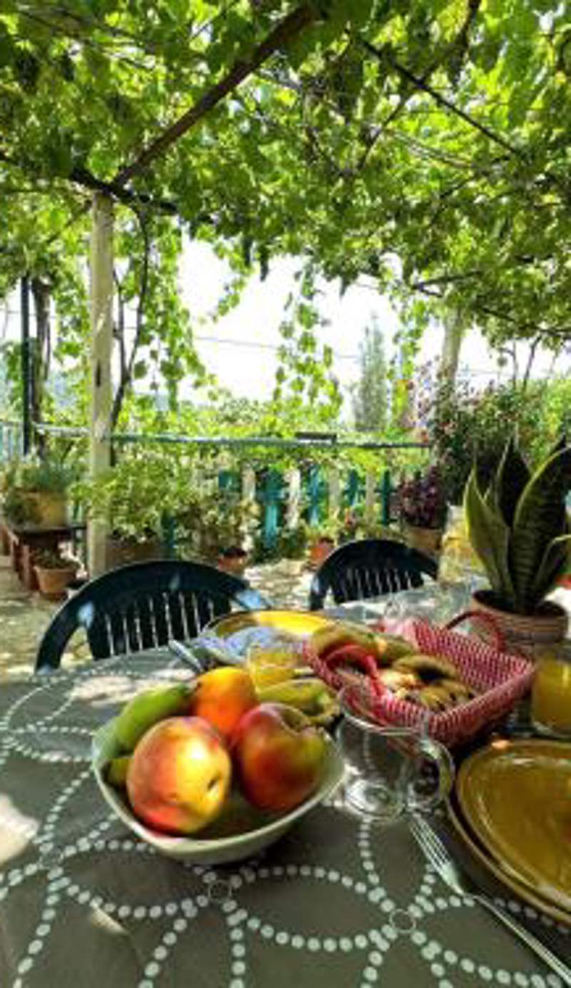 Boungainvillea