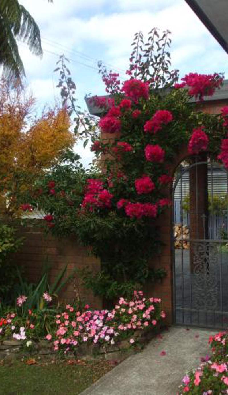 Havenlee Homestay