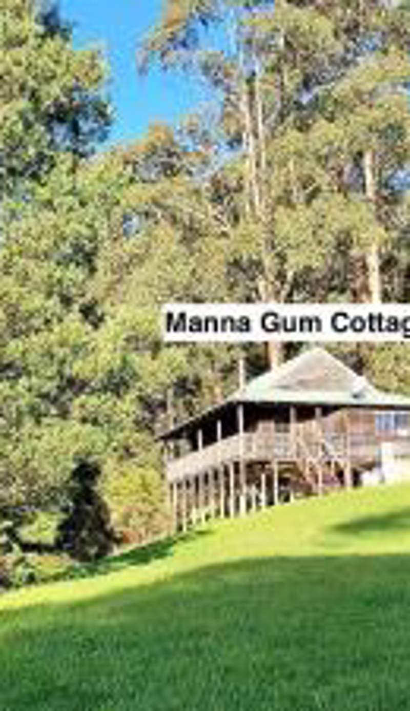 Tall Trees Eco Retreat