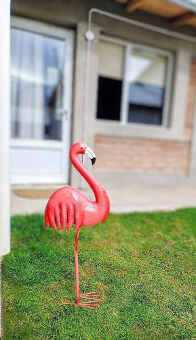 FLAMENCOS Apart