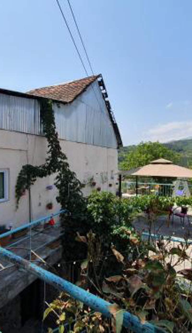 SUNNY SWEET HOME