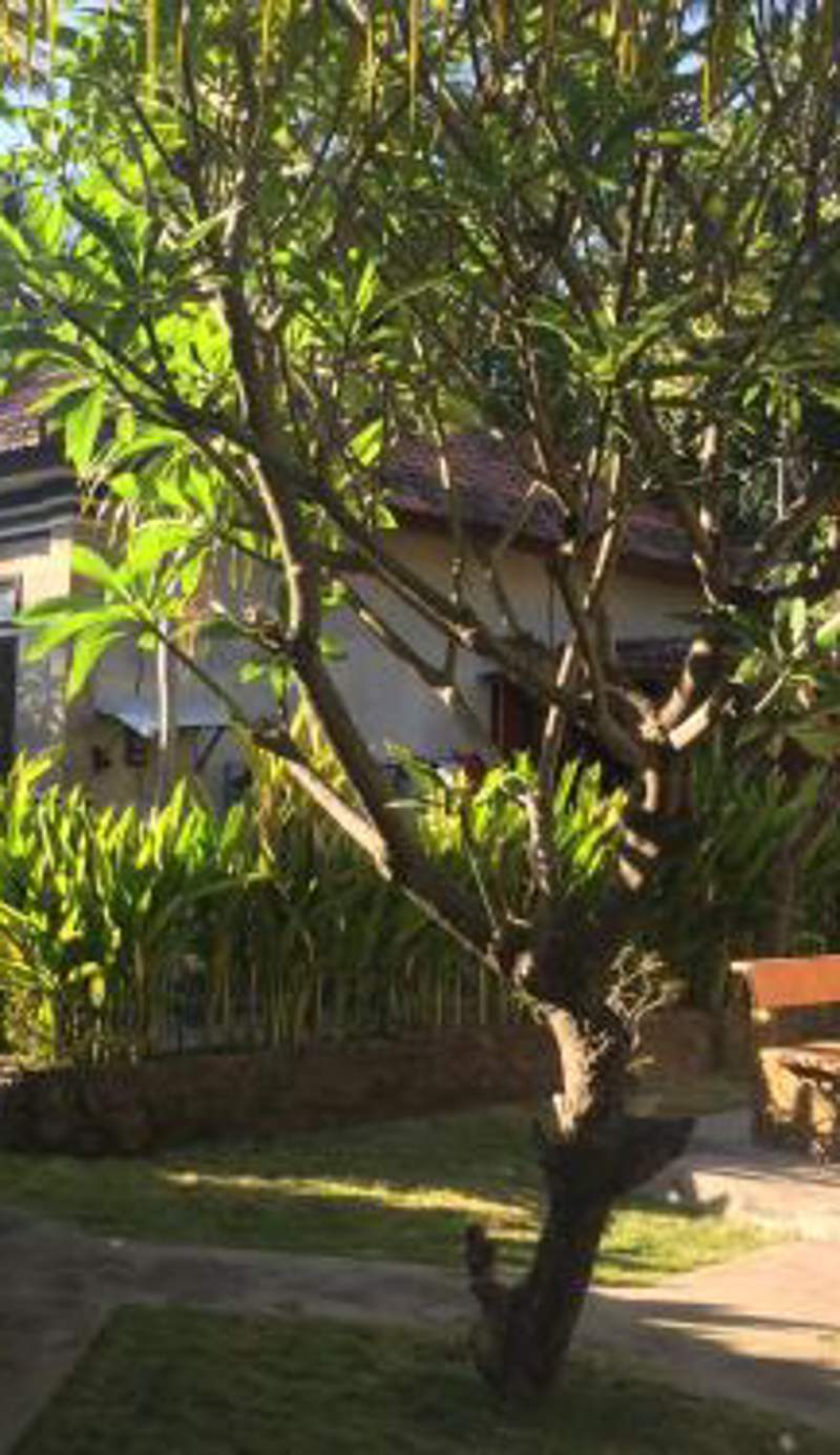 Kputra Homestay