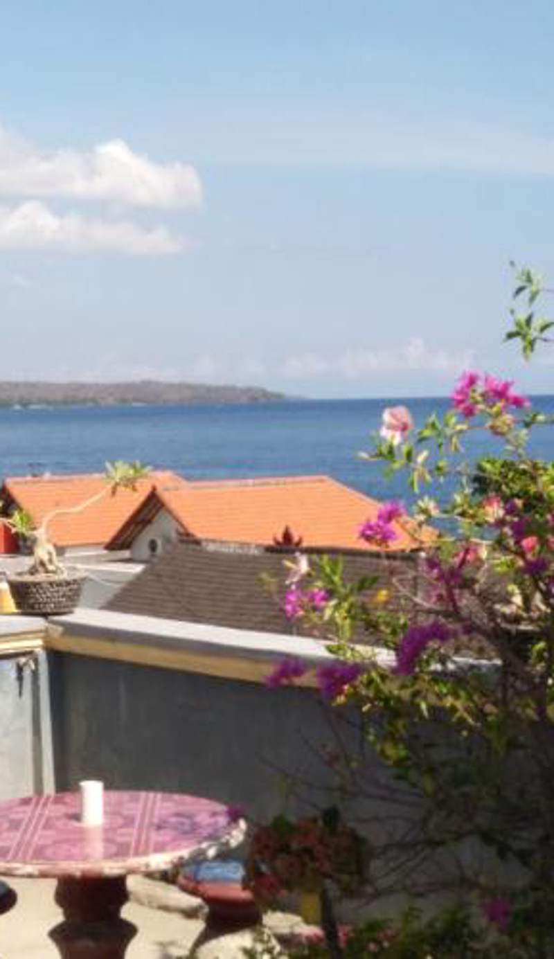 Sony Home Stay