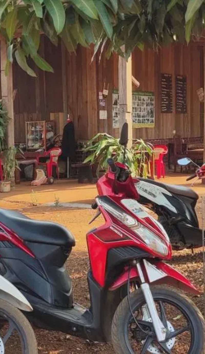 Tree Trails Homestay & Offers Jungle Trekk-Scooter For Rental