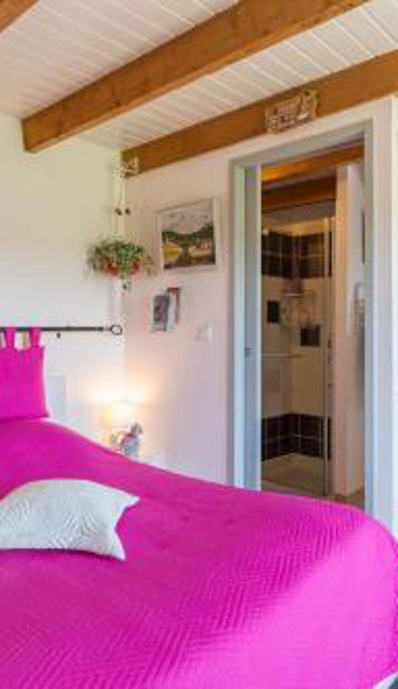 Chambre du Raisin