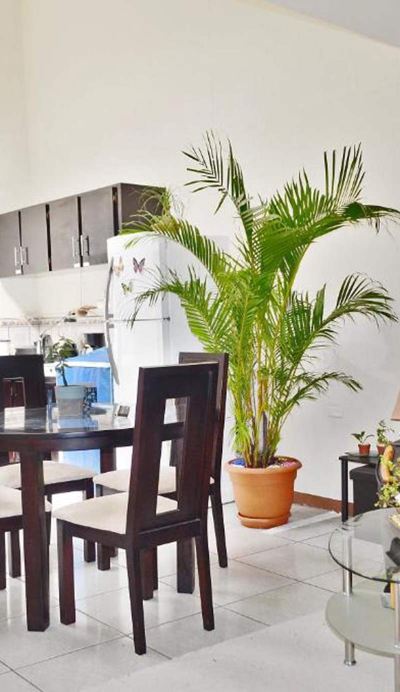 Guesthouse Casa Lapa
