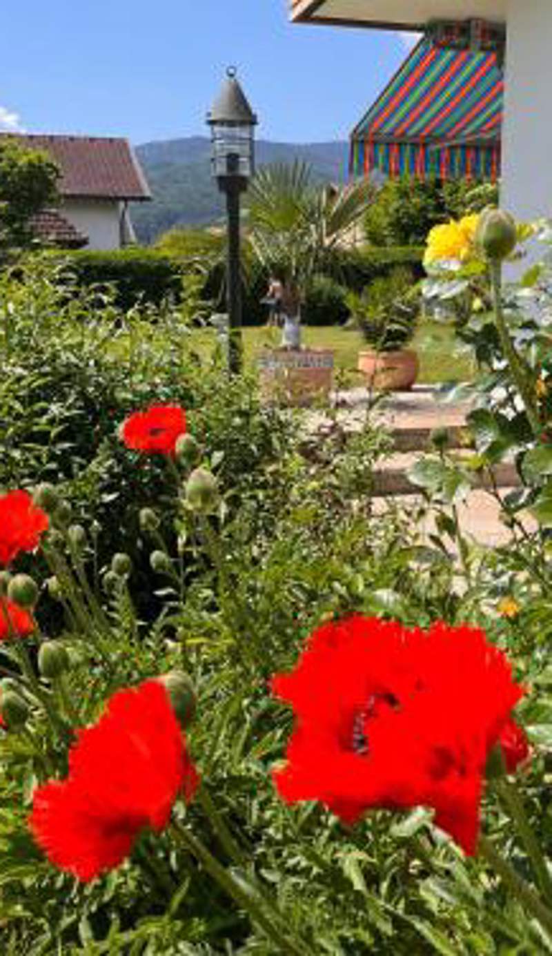 Haus Bergblick