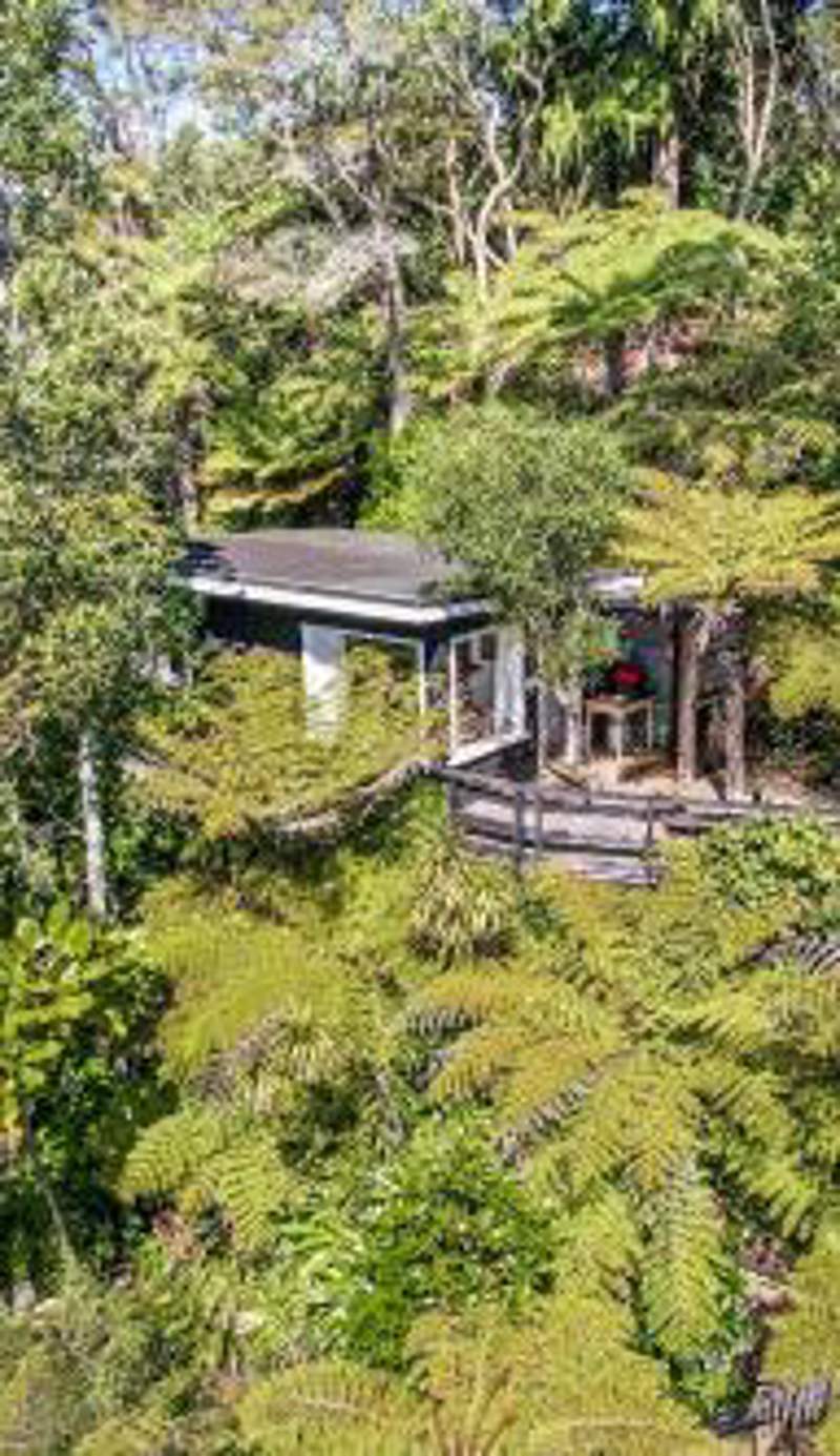 The Treehouse - Raglan Holiday Studio