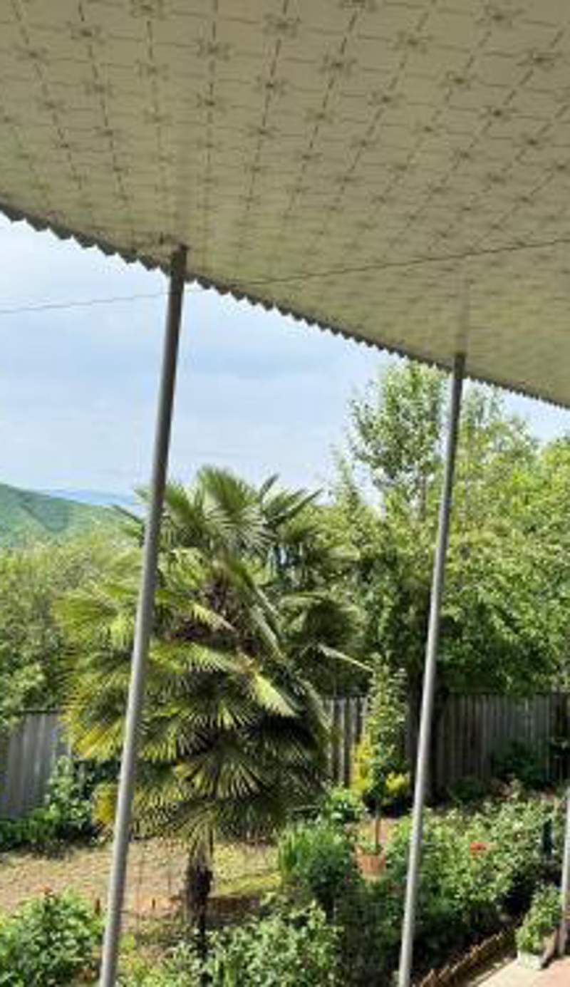 ArzuShekiHouse