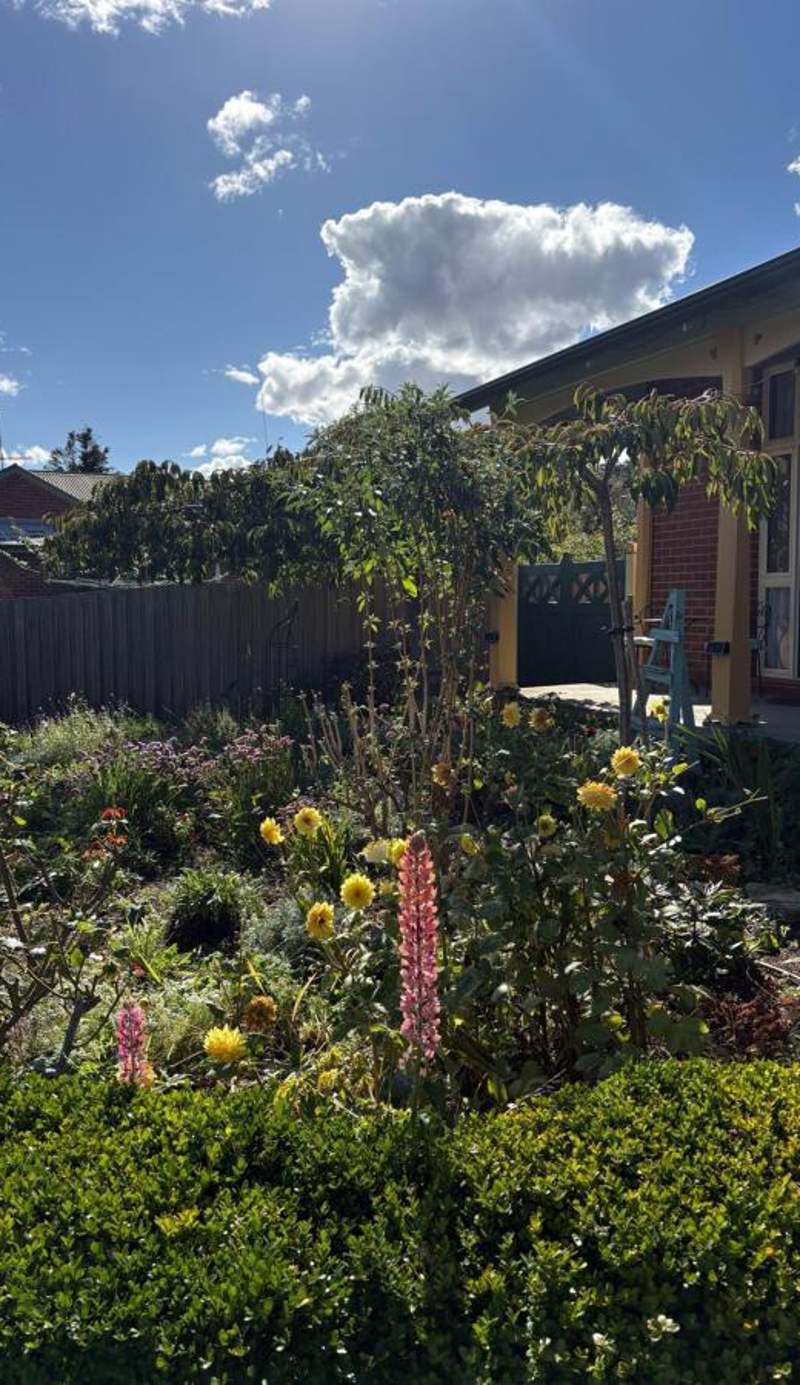 Orana House