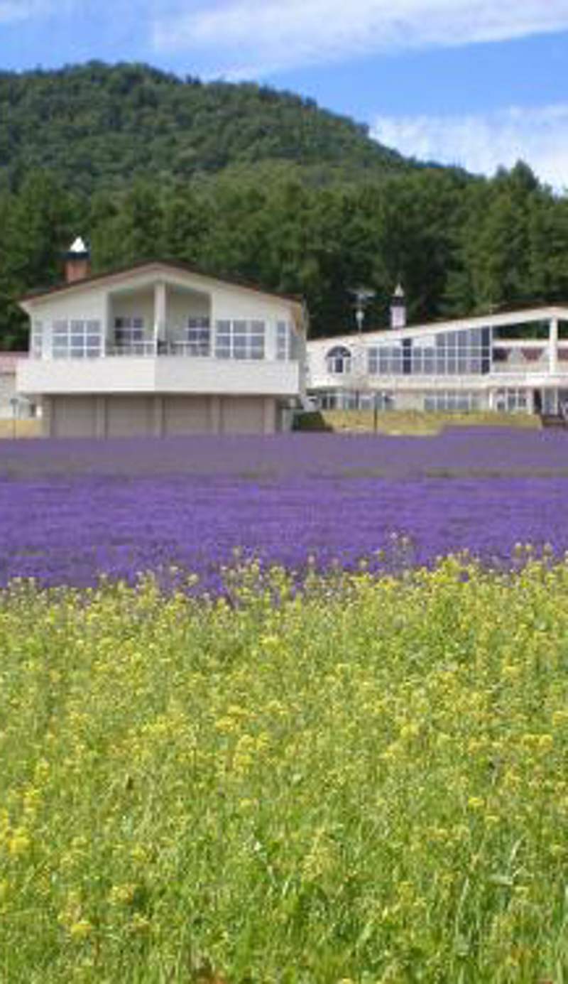 Highland Furano