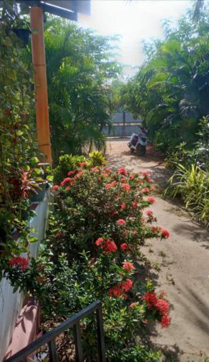 U new guest house