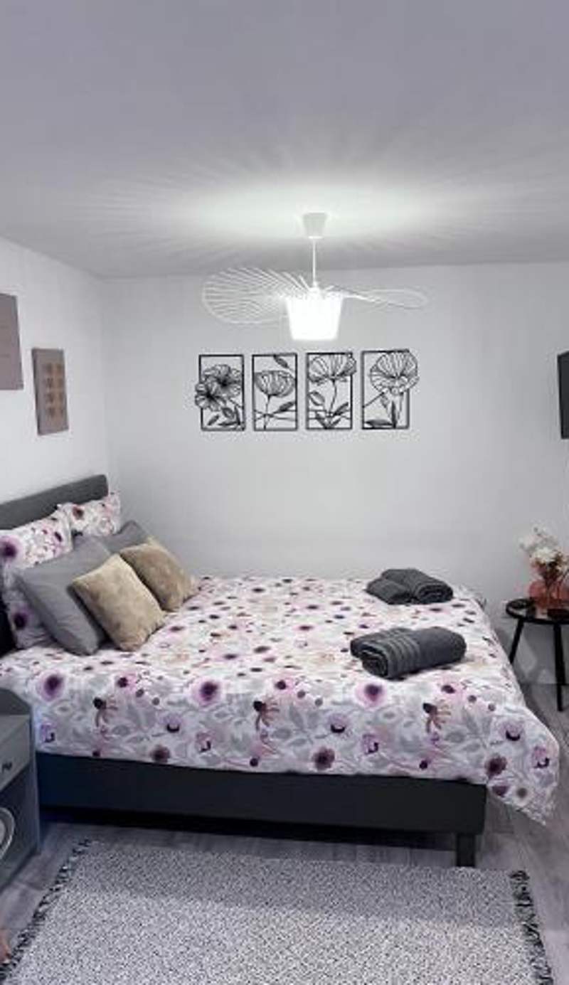 Le Patcho Charmant studio Confortable & Chaleureux , idéalement situé proche centre ville Quartier Neustadt Tribunal, Contades