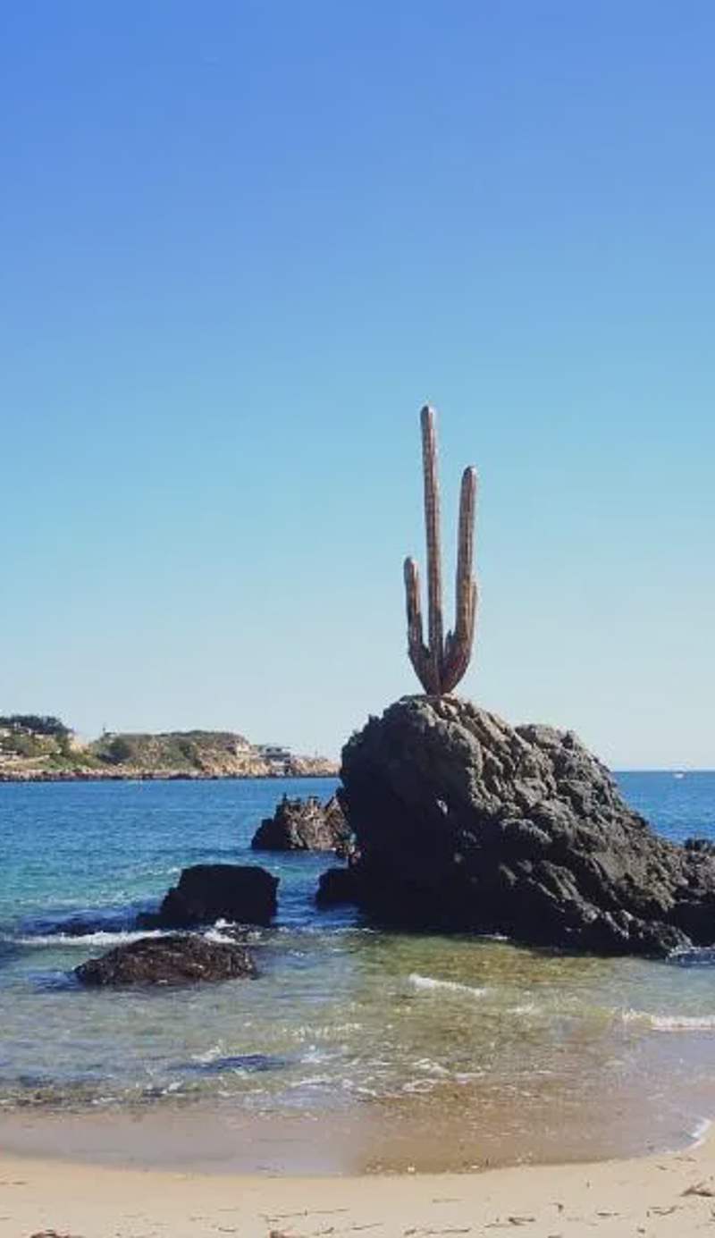 CABAÑA QUISQUEÑA