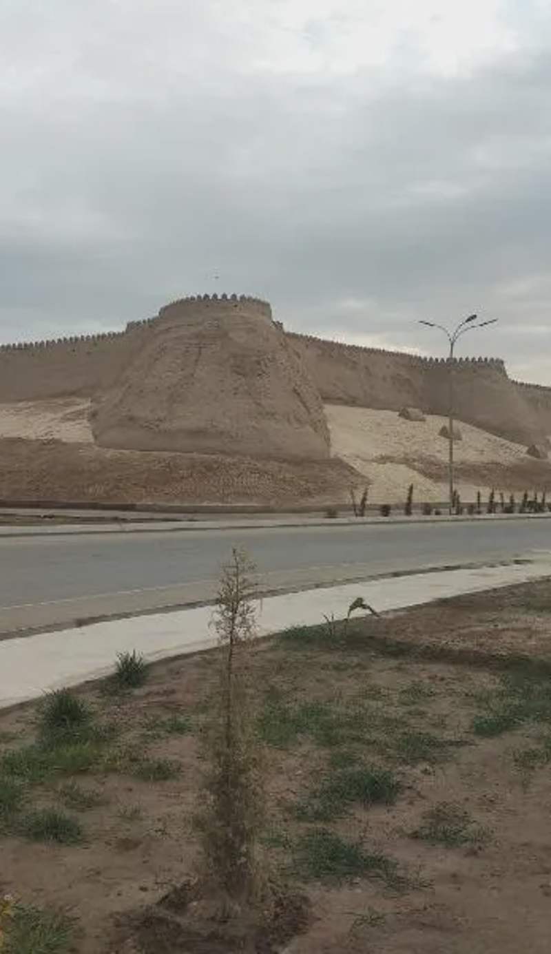 Boran