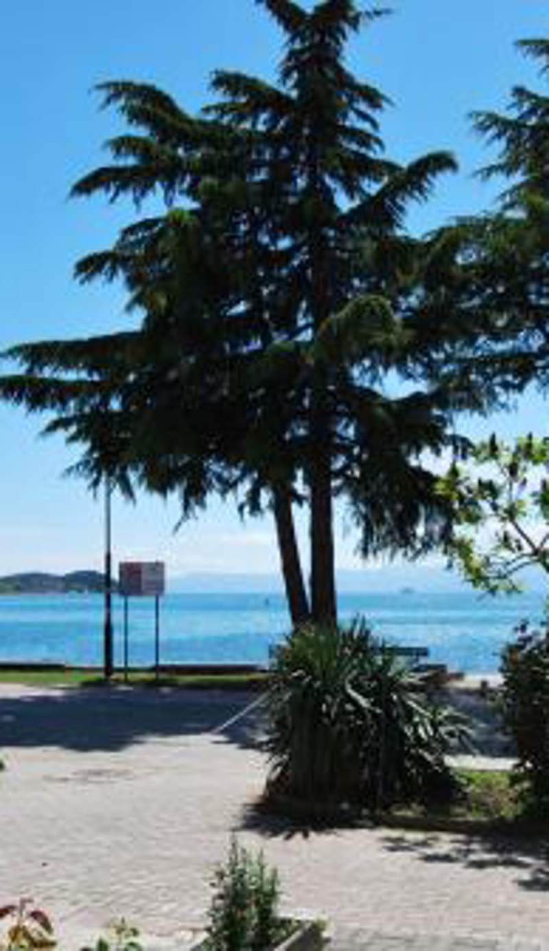 Vila Delfin