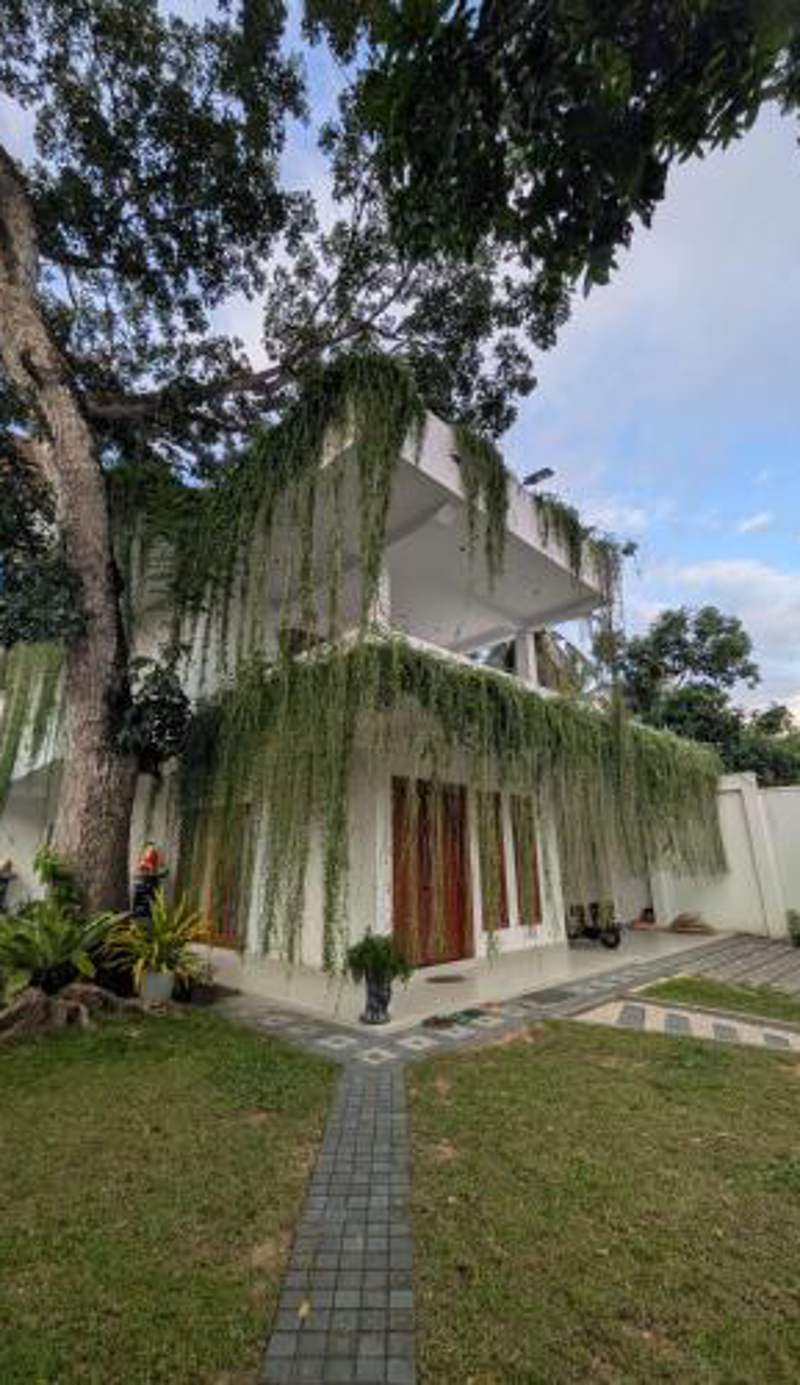 Casa Luna Home Stay