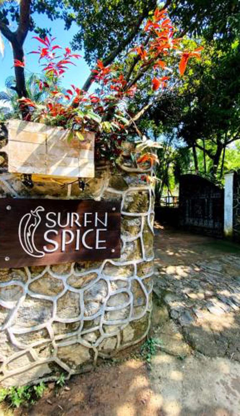 SURF N SPICE - HIRIKETiYA