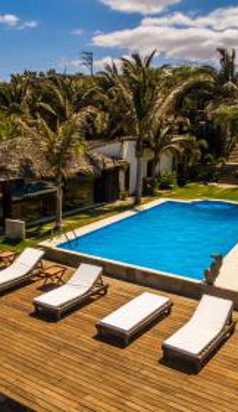 Los Cocos de Vichayito