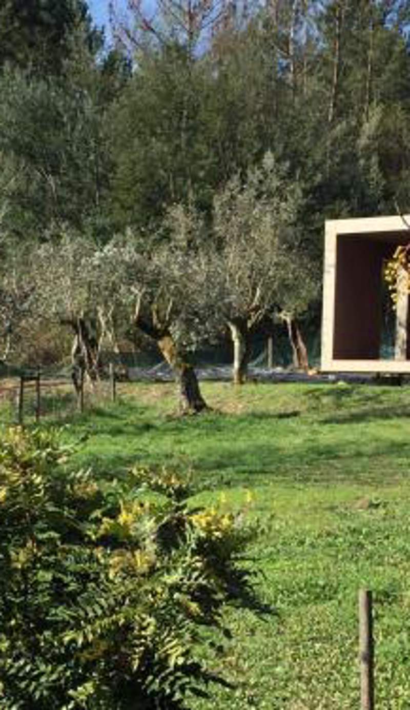 Adore Portugal Bungalow Natureza & Vista de Serra