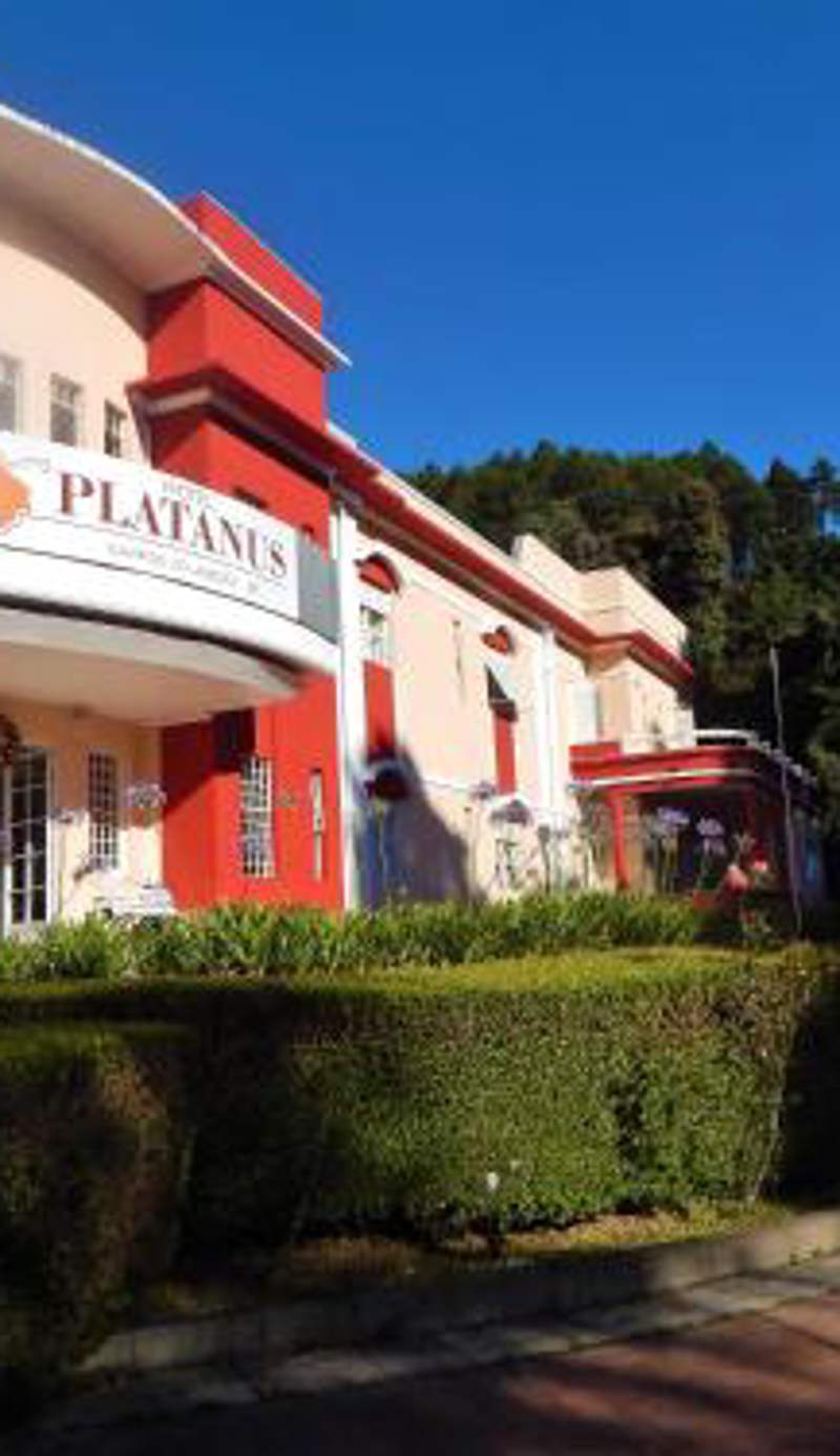 Hotel Platanus