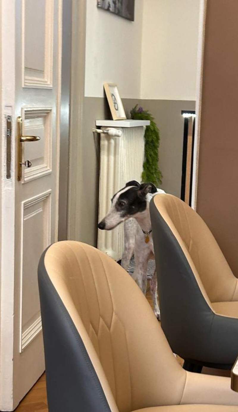Bed and Chic art rooms