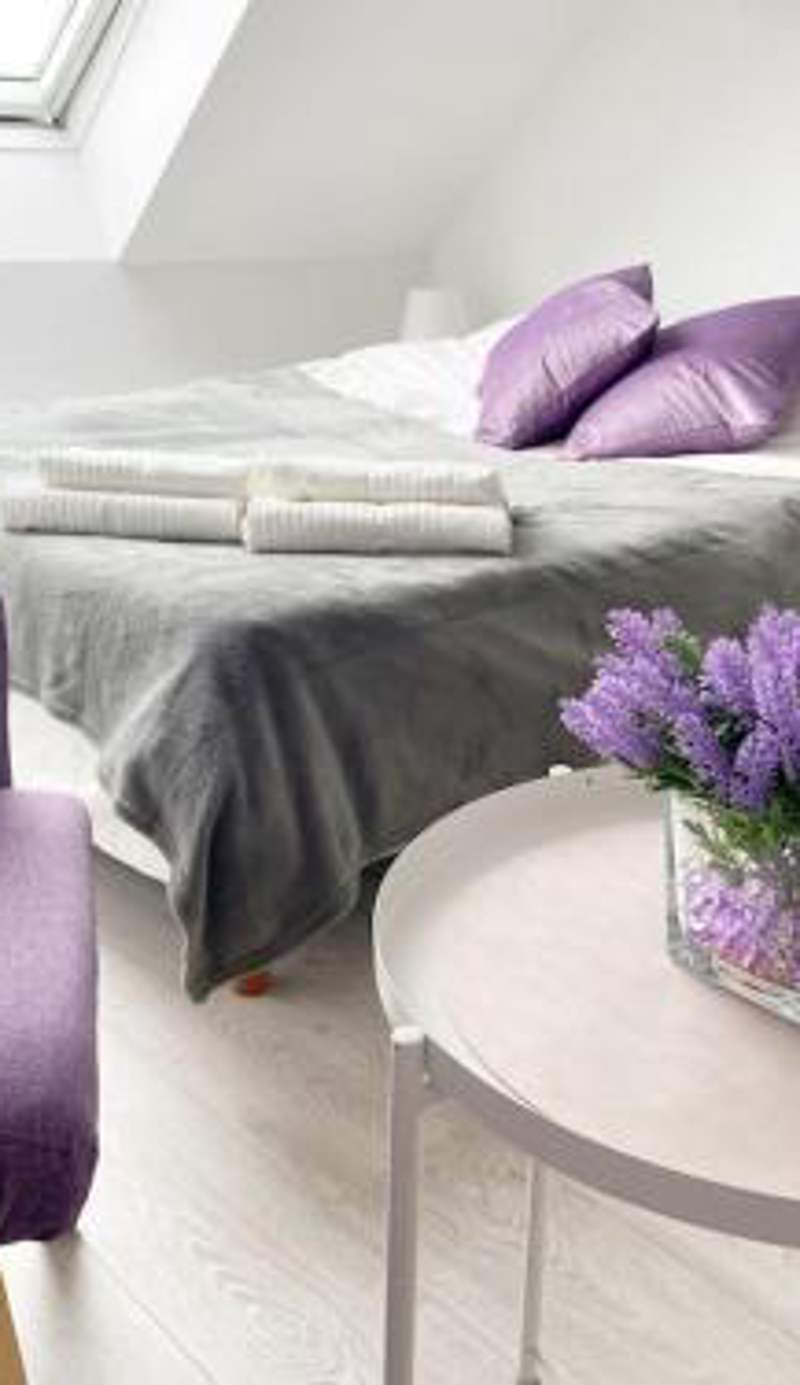 Esprit Violet - Joli Studio Salengro - Sauna & Sport club