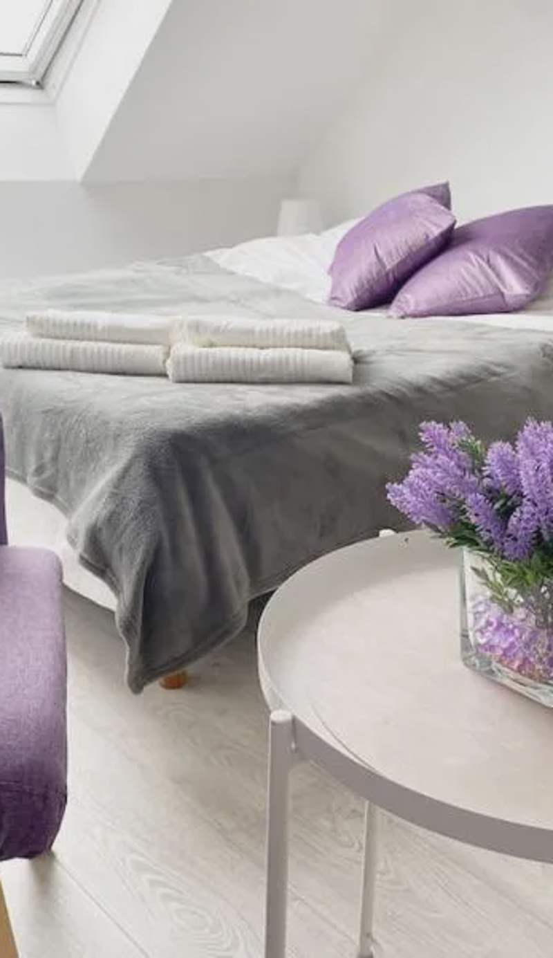 Esprit Violet - Joli Studio Salengro - Sauna & Sport club