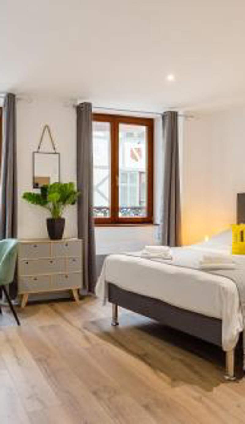 Travel Homes - L'Arsenal, studios en hyper centre