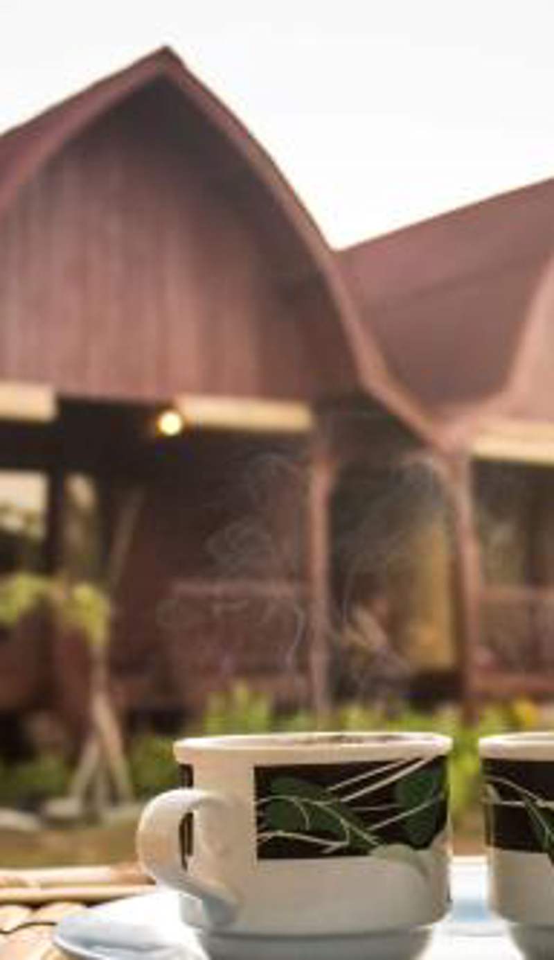Lia Jaya Bungalows