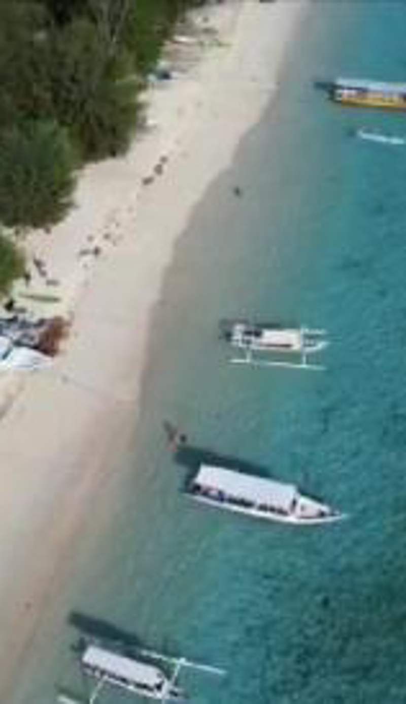 Bluecoral Bungalows