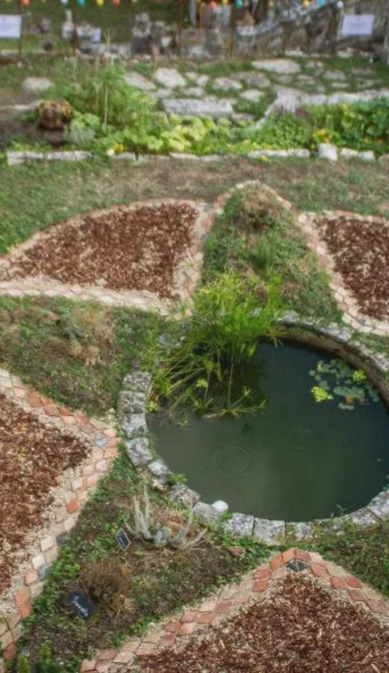 La Belle Etoile