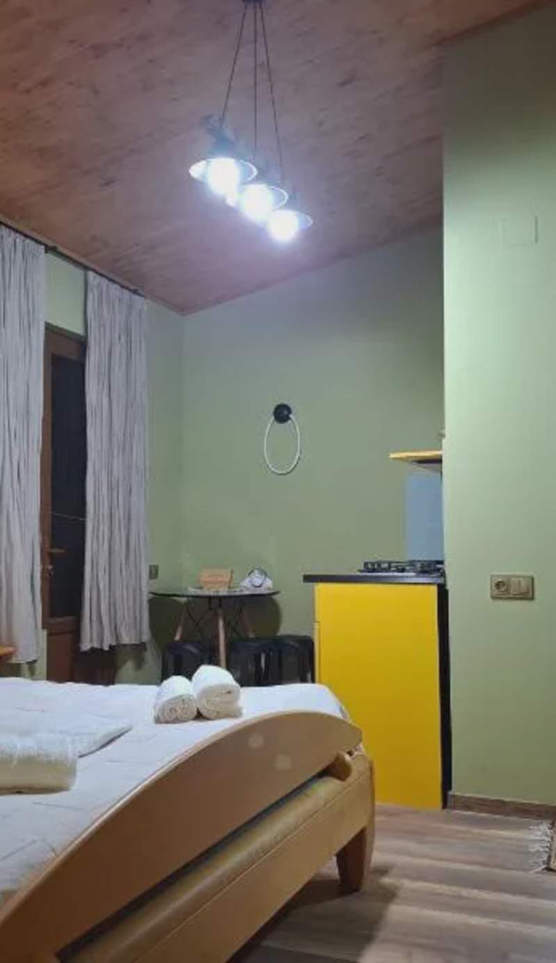 Borjomi Nest 2