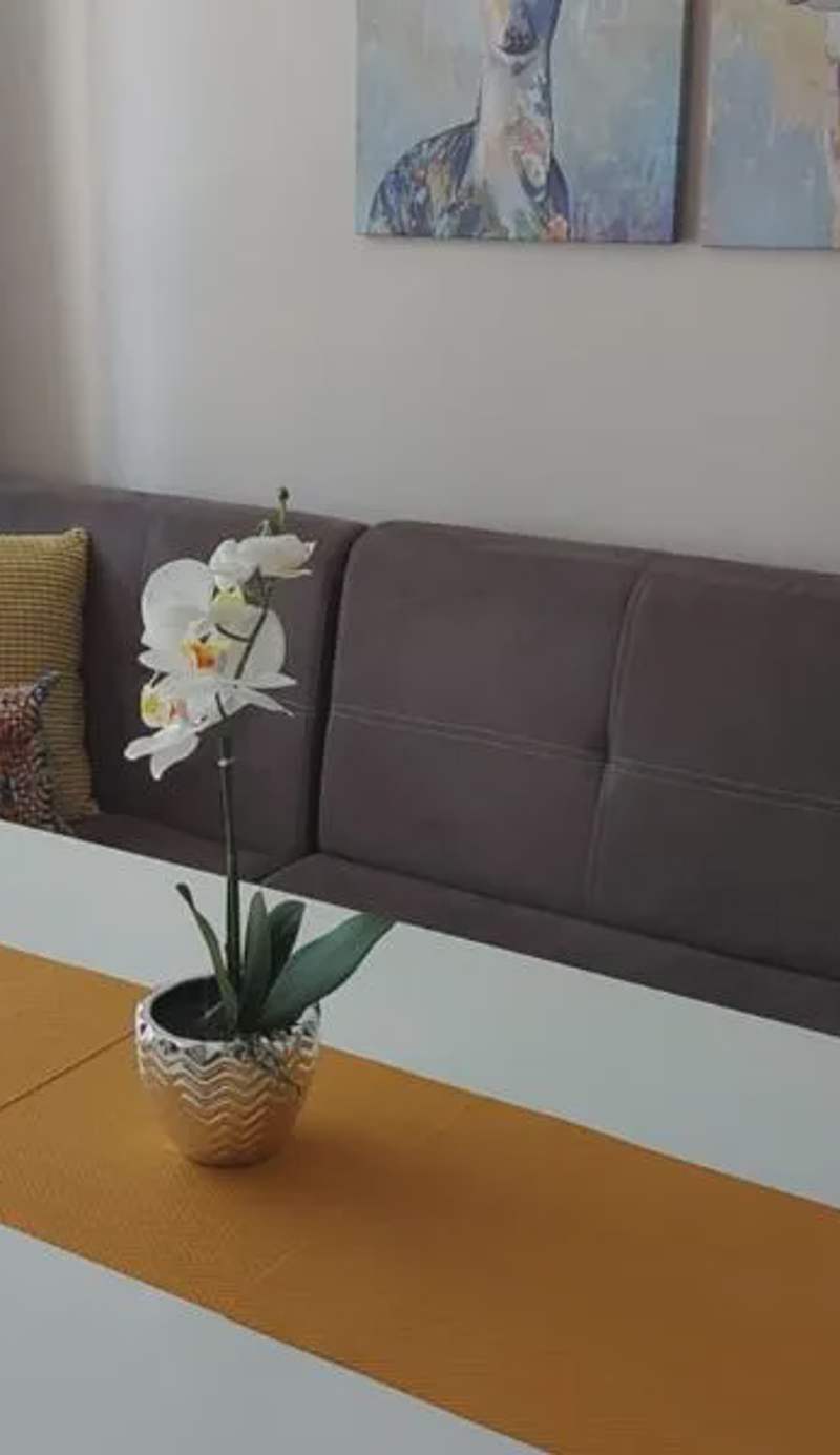 HostEx Meraki Apartment