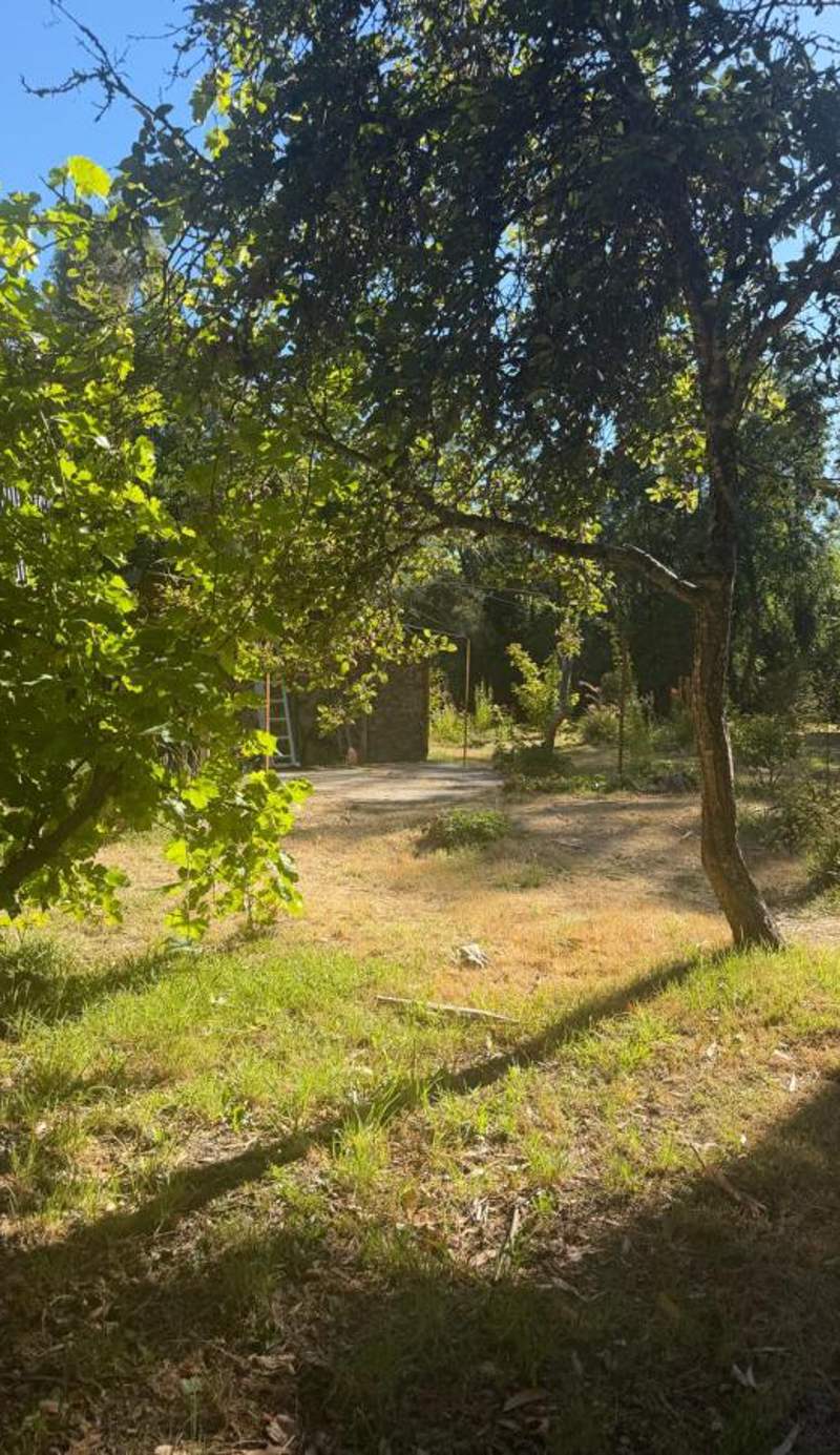 Cabaña La Confluencia, a metros del Río Quemquemtreu y del Río Azul