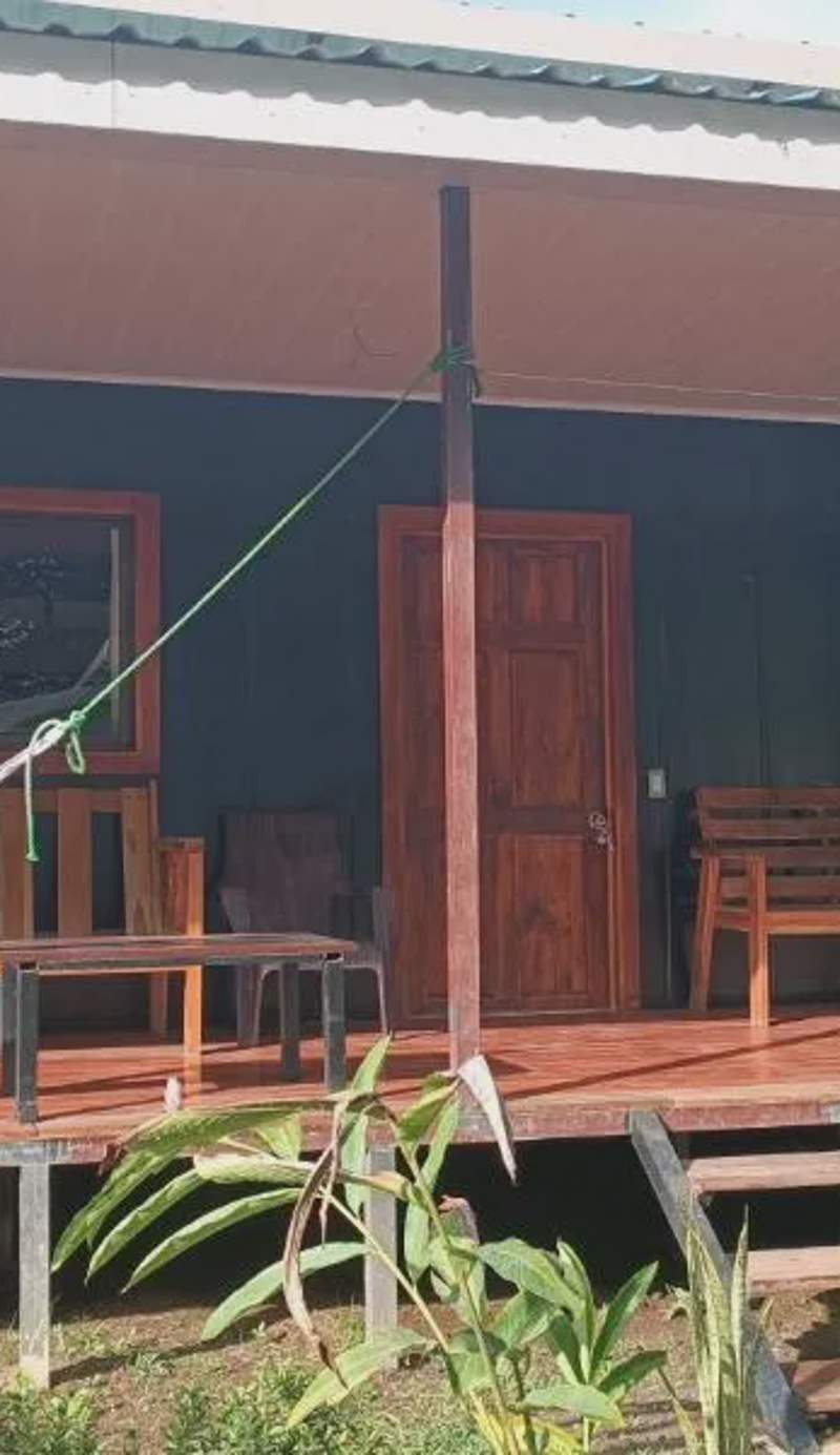 Coconut Lodge #2
