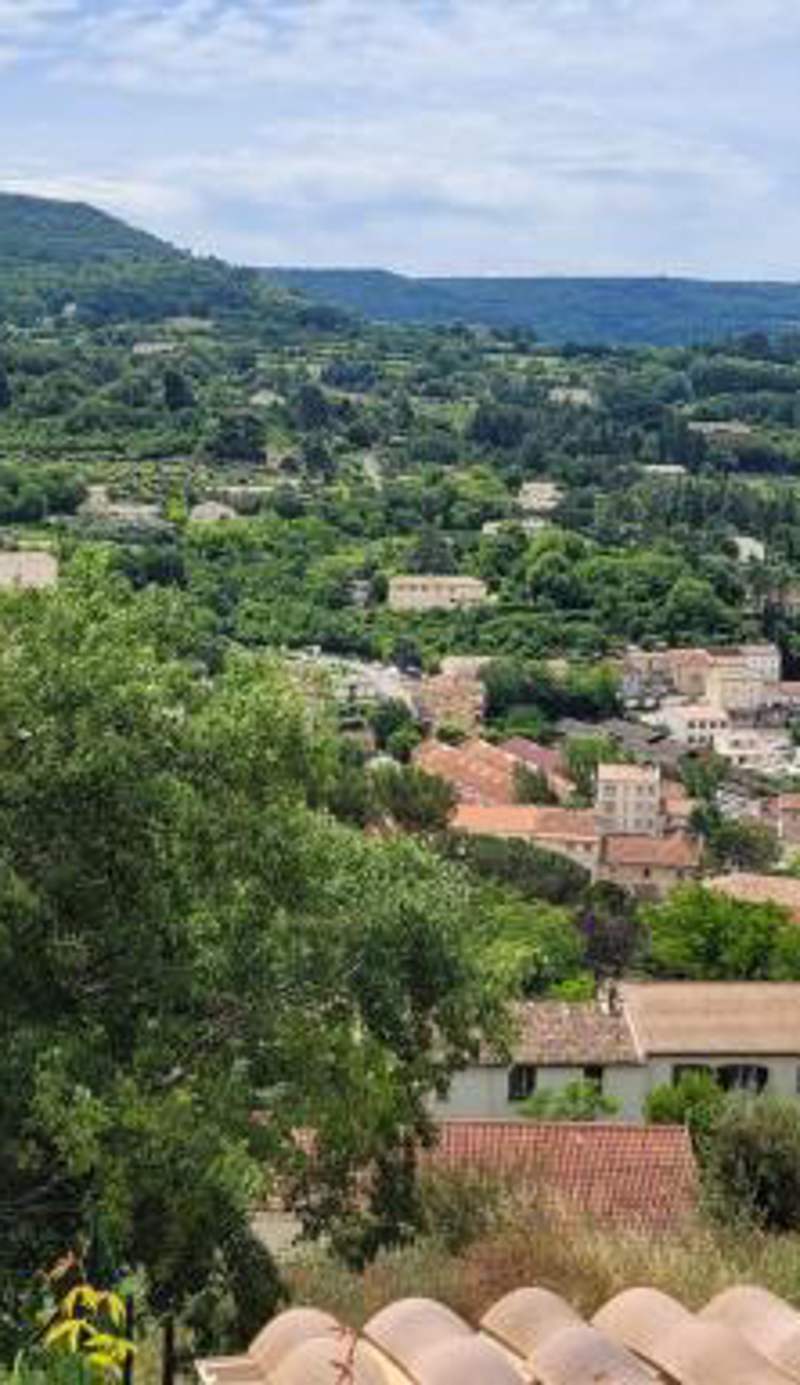 Le jardin des oliviers