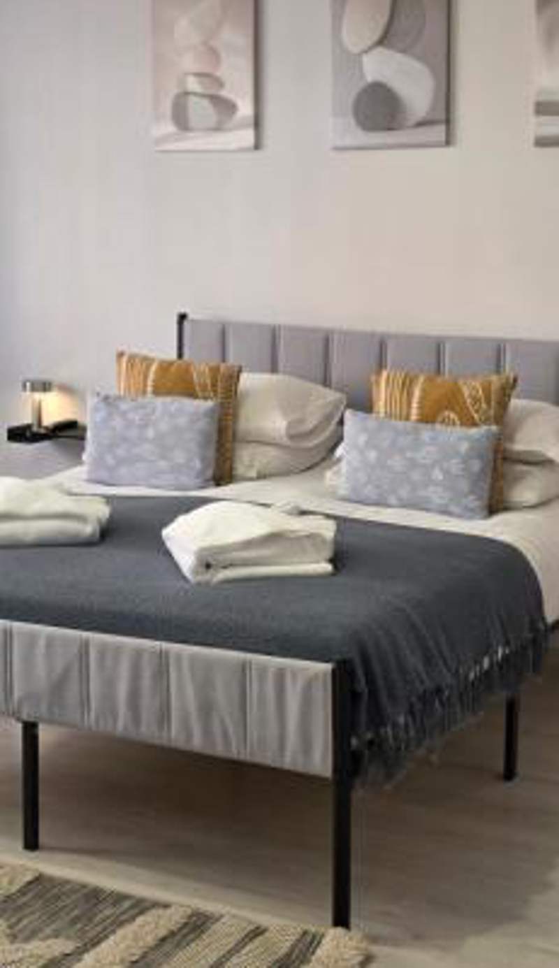 Zorilor Cactus Apartment