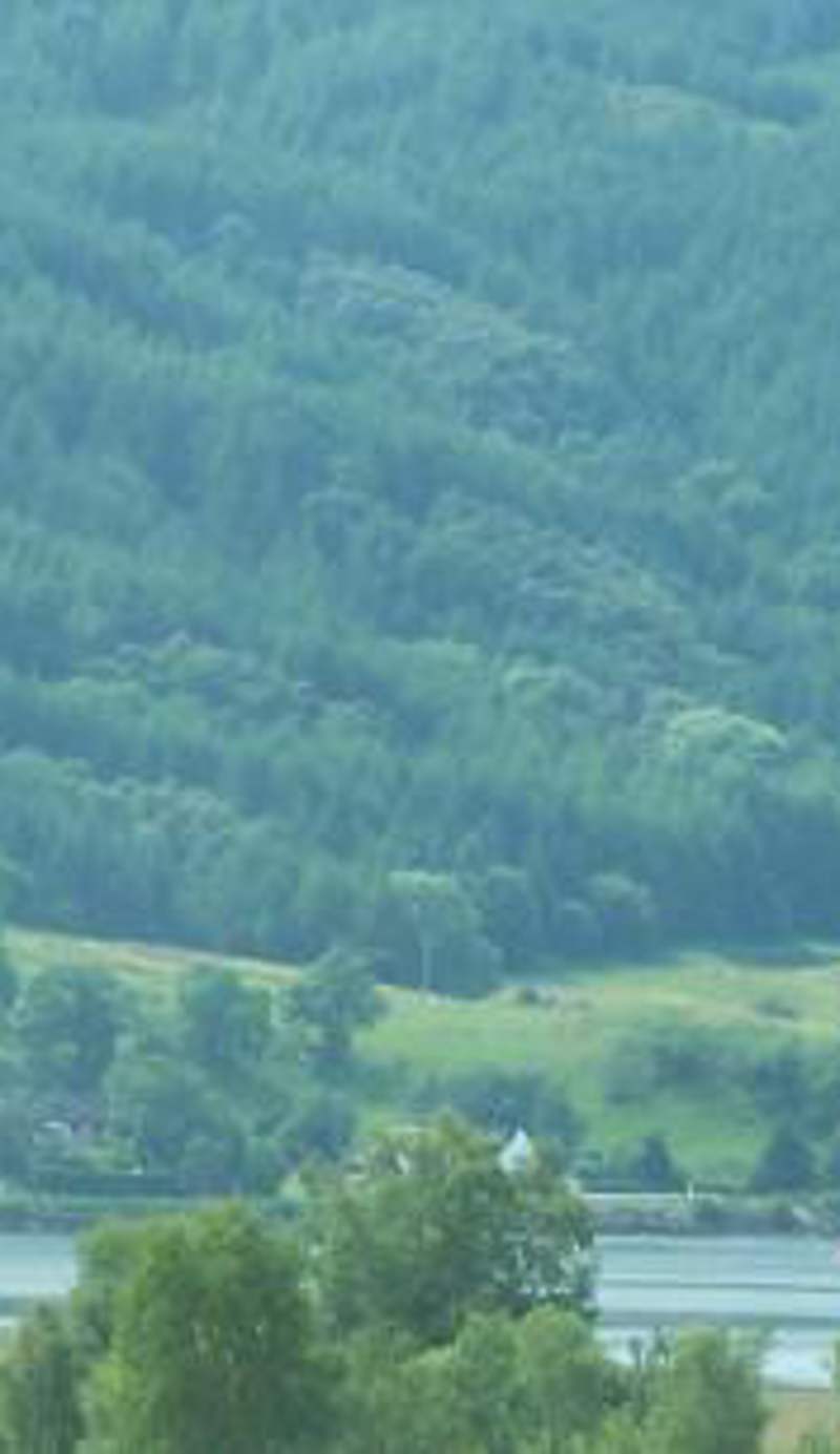 Feochan View