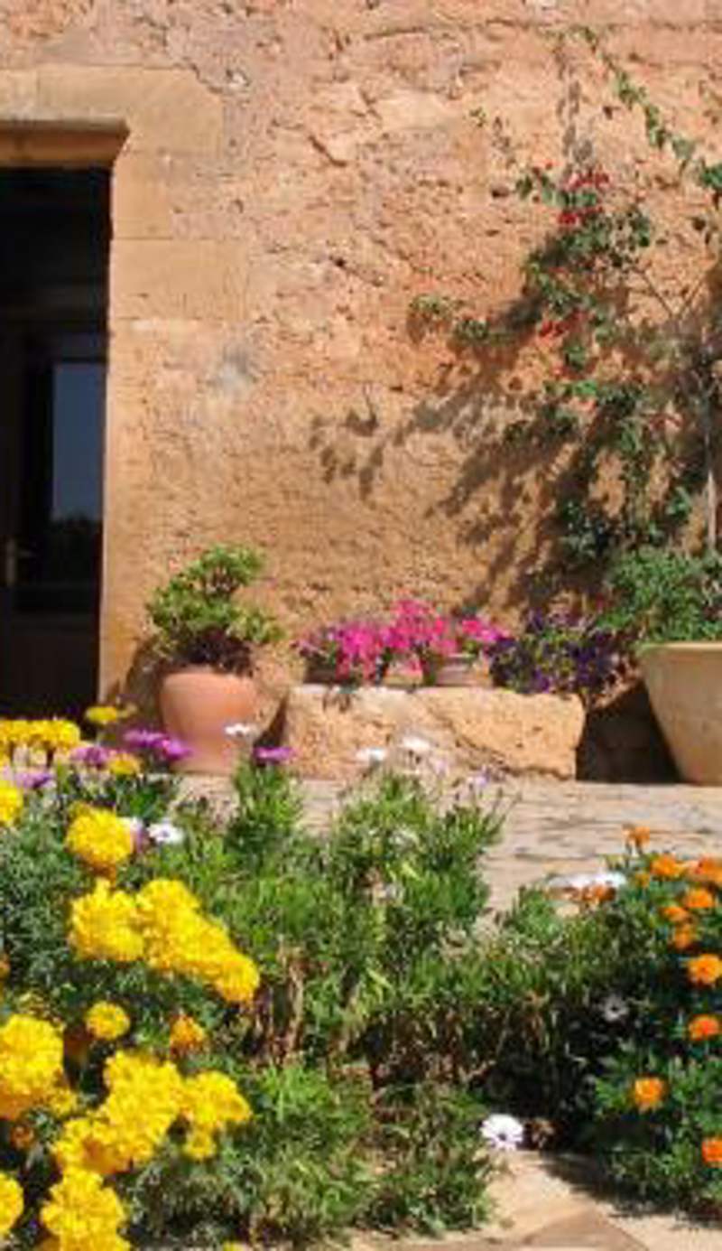 Finca Sa Cova Vella