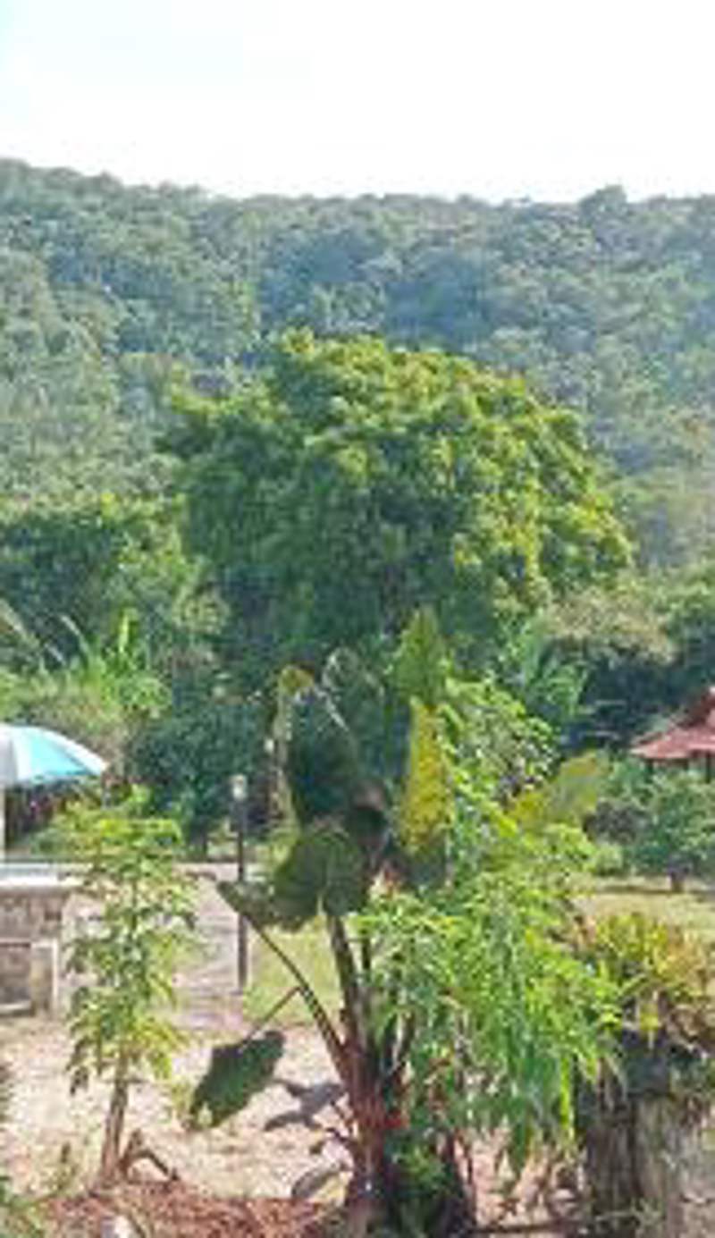 Recanto São Francisco de Assis