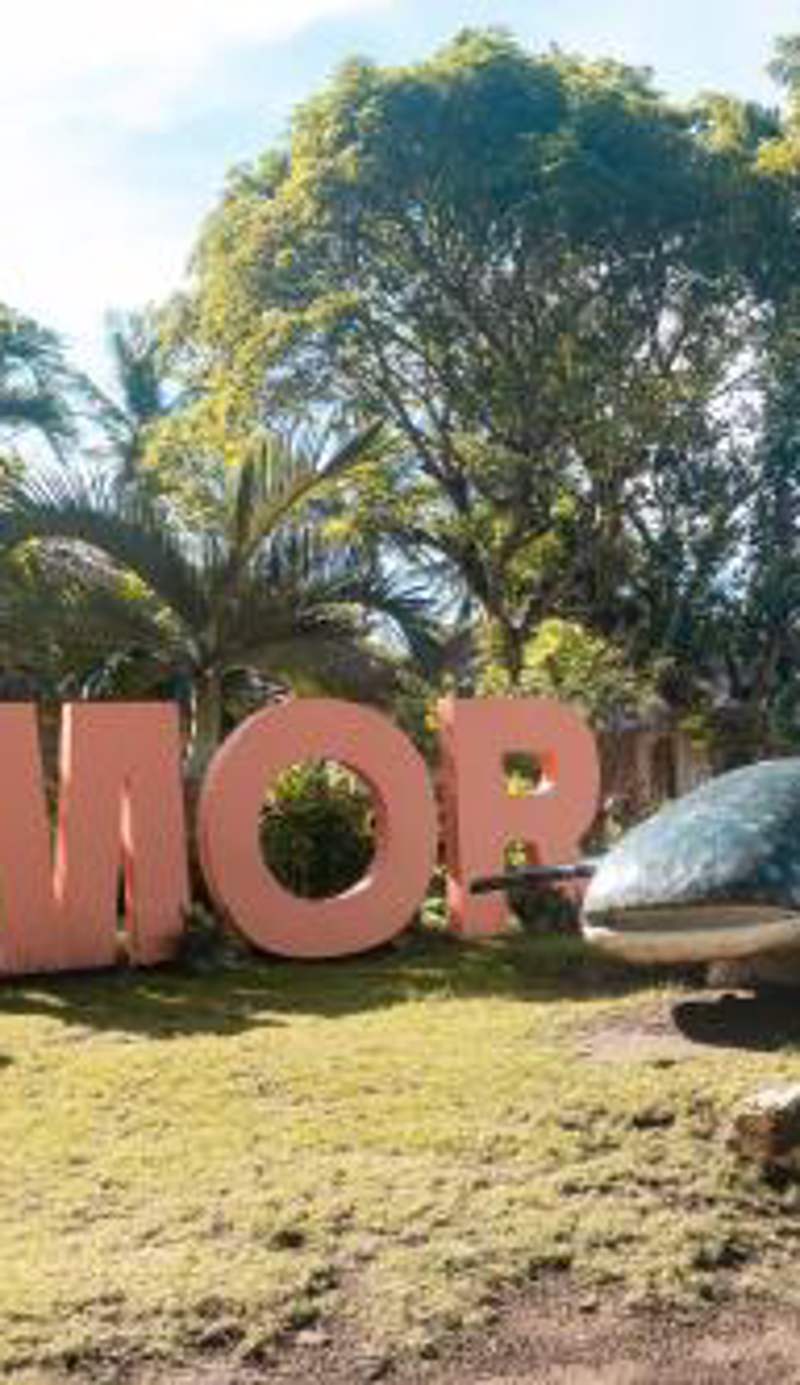 Amor Farm Beach Resort