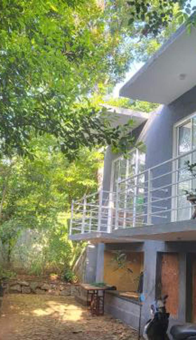 Hasthi homestay