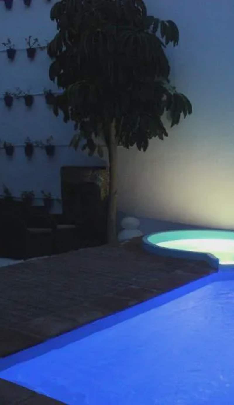 Apartamentos Casa-Patio Las Palmeras