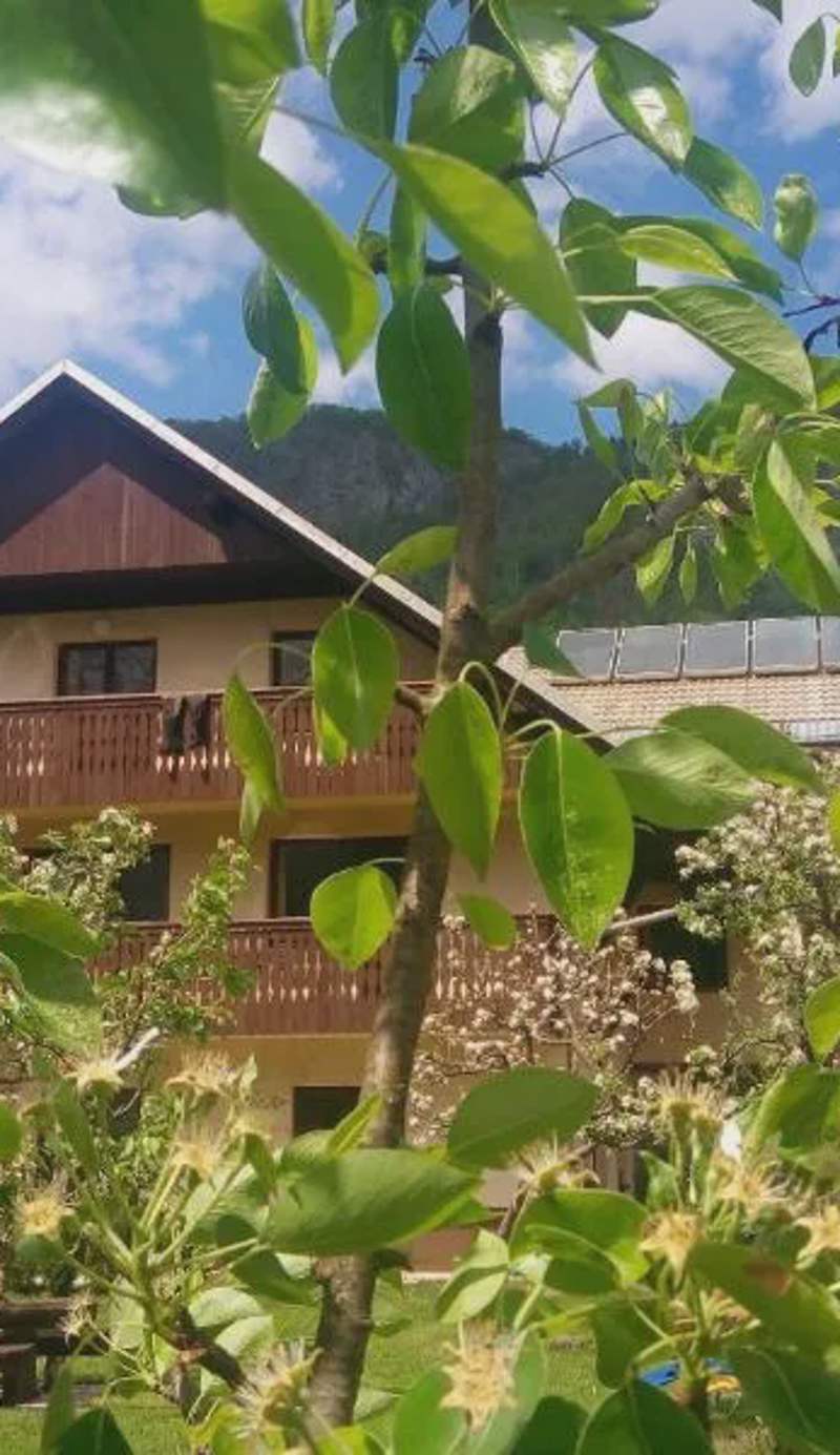 Apartments Arh